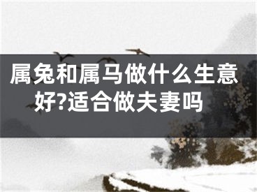属兔和属马做什么生意好?适合做夫妻吗