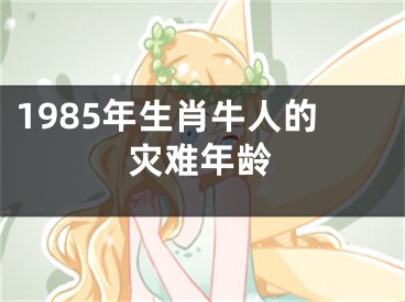 1985年生肖牛人的灾难年龄