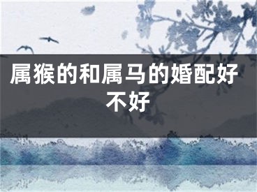 属猴的和属马的婚配好不好