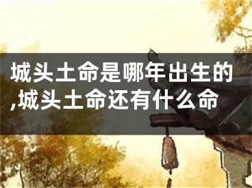 城头土命是哪年出生的,城头土命还有什么命