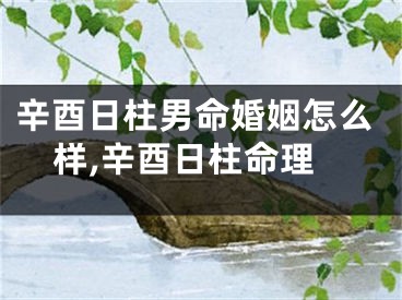 辛酉日柱男命婚姻怎么样,辛酉日柱命理