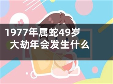 1977年属蛇49岁大劫年会发生什么 