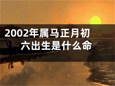 2002年属马正月初六出生是什么命