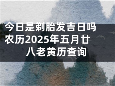今日是剃胎发吉日吗 农历2025年五月廿八老黄历查询