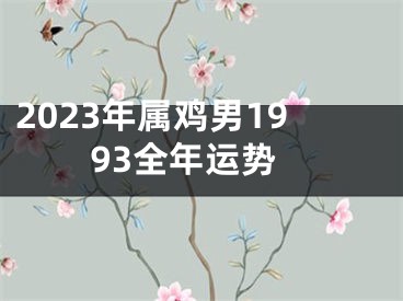 2023年属鸡男1993全年运势