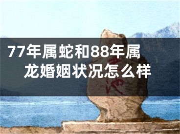 77年属蛇和88年属龙婚姻状况怎么样