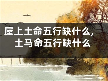 屋上土命五行缺什么,土马命五行缺什么