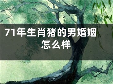 71年生肖猪的男婚姻怎么样