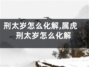 刑太岁怎么化解,属虎刑太岁怎么化解