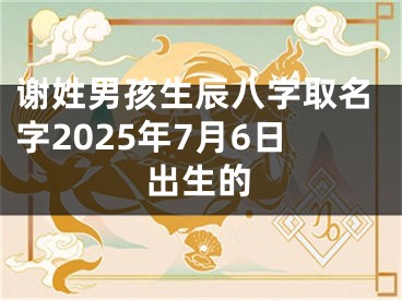 谢姓男孩生辰八字取名字2025年7月6日出生的