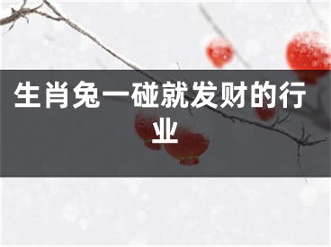 生肖兔一碰就发财的行业