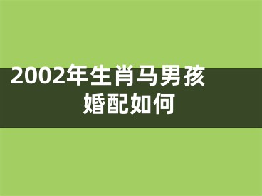 2002年生肖马男孩婚配如何