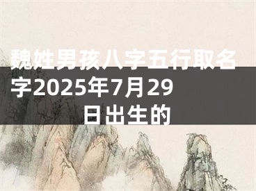 魏姓男孩八字五行取名字2025年7月29日出生的