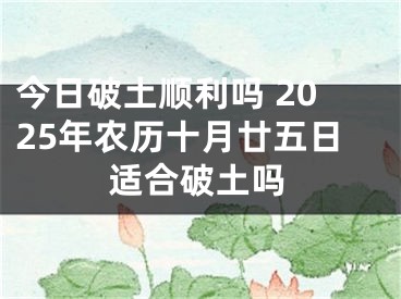 今日破土顺利吗 2025年农历十月廿五日适合破土吗