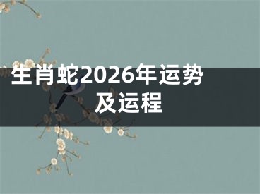 生肖蛇2026年运势及运程