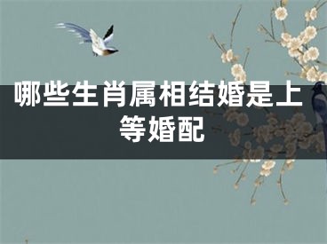 哪些生肖属相结婚是上等婚配