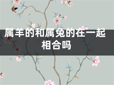 属羊的和属兔的在一起相合吗