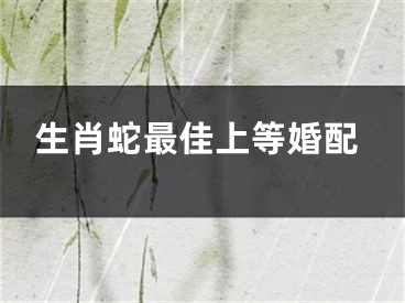 生肖蛇最佳上等婚配