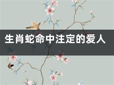生肖蛇命中注定的爱人