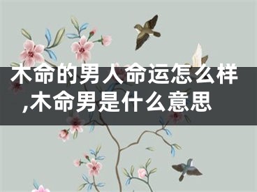 木命的男人命运怎么样,木命男是什么意思