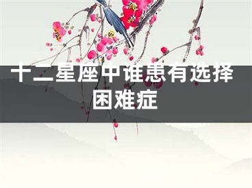十二星座中谁患有选择困难症