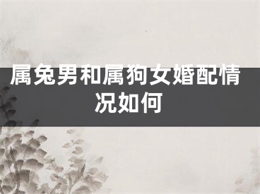 属兔男和属狗女婚配情况如何