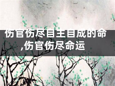 伤官伤尽自主自成的命,伤官伤尽命运
