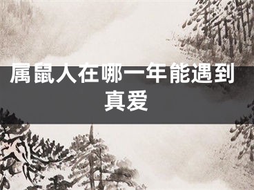 属鼠人在哪一年能遇到真爱