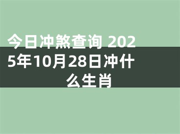 今日冲煞查询 2025年10月28日冲什么生肖