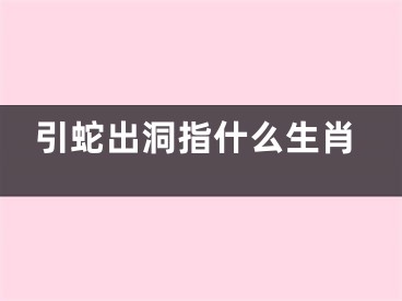 引蛇出洞指什么生肖