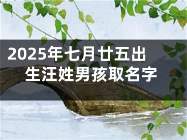 2025年七月廿五出生汪姓男孩取名字