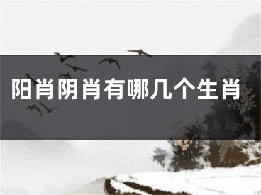 阳肖阴肖有哪几个生肖