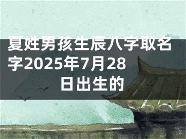 夏姓男孩生辰八字取名字2025年7月28日出生的