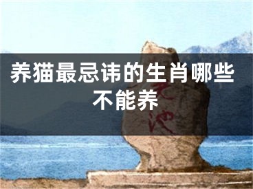 养猫最忌讳的生肖哪些不能养