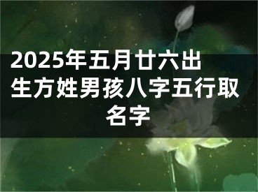 2025年五月廿六出生方姓男孩八字五行取名字