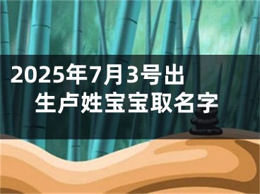 2025年7月3号出生卢姓宝宝取名字