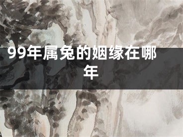 99年属兔的姻缘在哪年