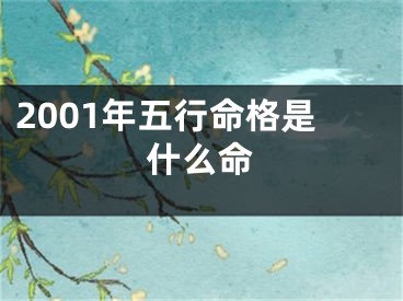 2001年五行命格是什么命