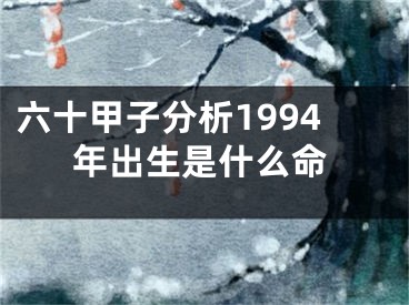 六十甲子分析1994年出生是什么命
