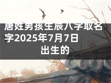 唐姓男孩生辰八字取名字2025年7月7日出生的