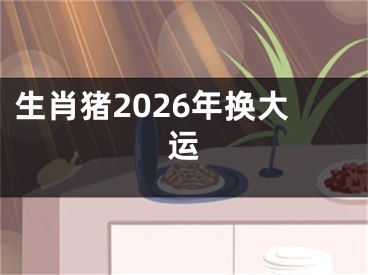 生肖猪2026年换大运