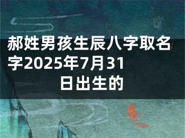 郝姓男孩生辰八字取名字2025年7月31日出生的