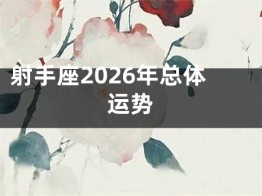 射手座2026年总体运势