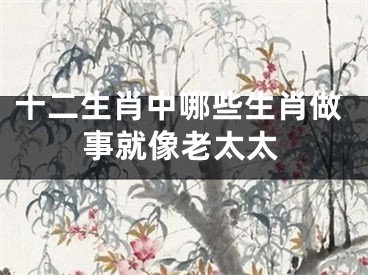 十二生肖中哪些生肖做事就像老太太
