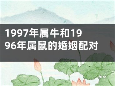 1997年属牛和1996年属鼠的婚姻配对