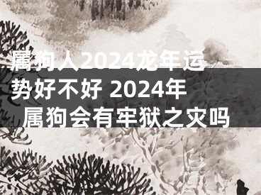 属狗人2024龙年运势好不好 2024年属狗会有牢狱之灾吗