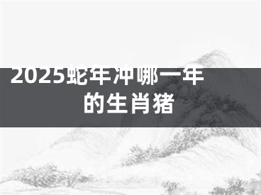 2025蛇年冲哪一年的生肖猪