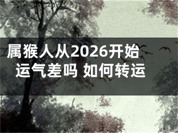 属猴人从2026开始运气差吗 如何转运