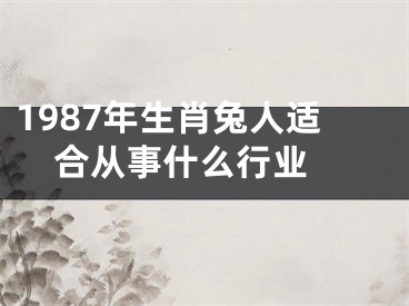 1987年生肖兔人适合从事什么行业 