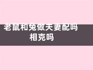 老鼠和兔做夫妻配吗 相克吗 